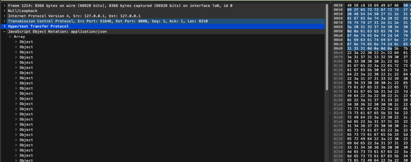 TCP Dump - application/json